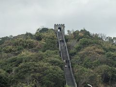 -黄贤森林公园