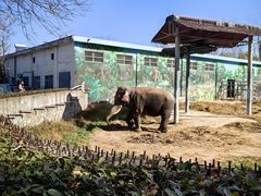 -西安秦岭野生动物园