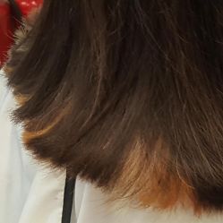 -Tipo Hair salon（明星）店