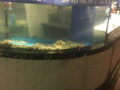 -甄品麦哲伦海鲜和牛自助(万达广场店)