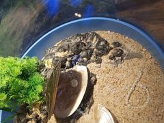 -海合安武汉极地海洋公园