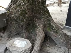 -汇龙潭