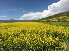 -青海湖国家重点风景名胜区