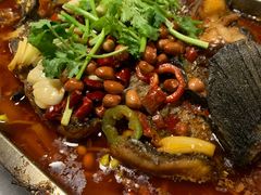 -陈生记黑鱼馆·20年活鱼现杀(宁波鼓楼店)