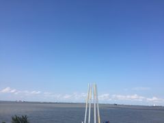 -上海滨江森林公园