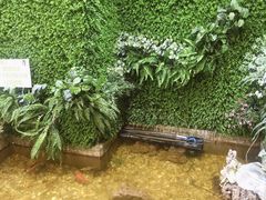 -松坂屋日料自助(长城路店)