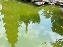 -吴作人艺术馆