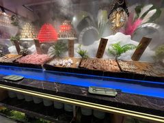 -焰江山·海鲜牛排烤肉自助(环形中心店)