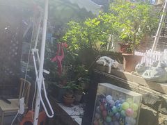 -鱼乐岛餐厅·户外花园主题餐厅