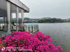 -白云湖畔酒店-湖畔餐厅