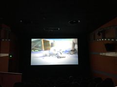 -天幕新彩云国际影城(激光巨幕店)