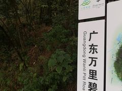 -羚羊峡古栈道森林公园
