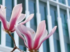-复旦大学(张江校区)