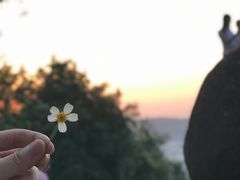 -火炉山森林公园