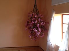 iphone_upload_pic-金山农民画村-枫泾波兰倒置屋