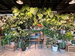 -自由生长植物工作室(深港花卉中心店)