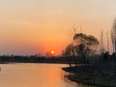 -东郊湿地公园