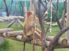 -西安秦岭野生动物园