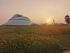 -哈尔滨大剧院