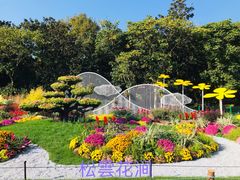 -上海共青森林公园