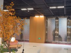 -帕帕拉兹宠物(亚洲旗舰店)