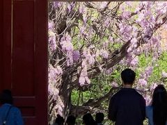 -北京国子监胡同