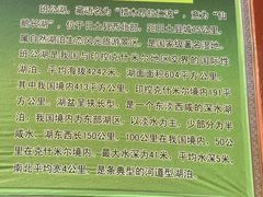 -班公湖