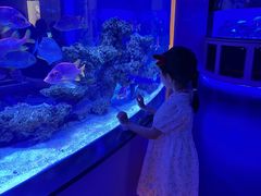 -上和臻品中国菜(花园街店)