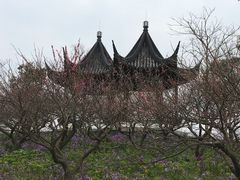 景点-上海海湾国家森林公园