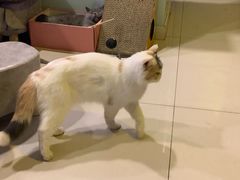 -平行世界·猫咖(首经贸店)