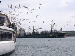 -海驴岛(荣成市)
