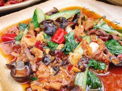 -青城甲(青城山店)