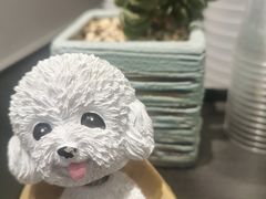 -人在茶在(华南店)