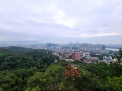 -福道
