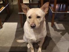 -Cactus墨西哥仙人掌餐厅