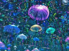 -深圳独角兽星空艺术馆