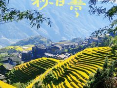 -龙脊梯田