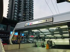 -大龙山(地铁站)