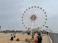-碧海金沙