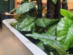 -悦海·家宴·冰花皮皮虾大锅贴(宝龙店)
