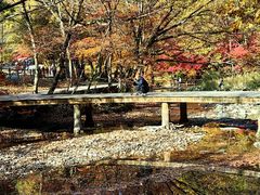 -关门山森林公园