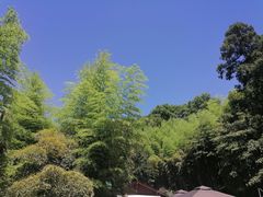 -莫干山风景区