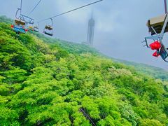 -富斯特索道
