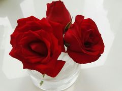 -PETIT PARIS 小巴黎(凯德1818店)