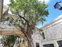 -赤坎·广东华侨国际旅游度假区