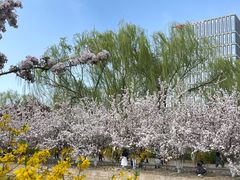 -元大都城垣遗址公园