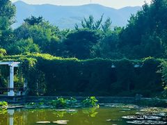 -国家植物园南园