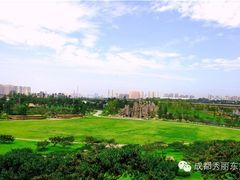 -秀丽东方