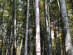 -苏州环秀晓筑养生度假村