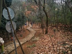 -上海佘山国家森林公园天马山园